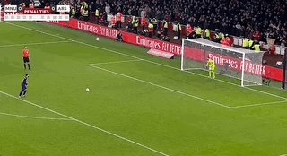 Jan-13-2025 01-47-37.gif